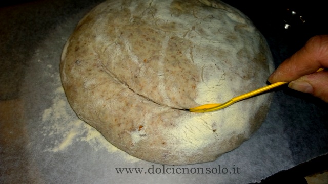 pane alle noci