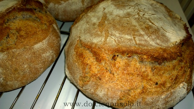 pane integrale alle noci